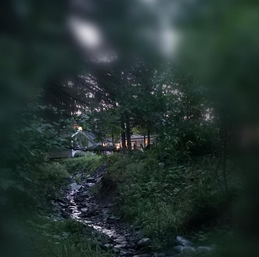 سان جورجس Motel Alexandrin المظهر الخارجي الصورة